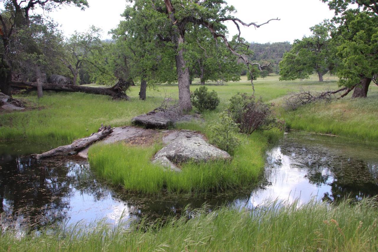 Вилла Casa Mariposa - A Foothill Retreat Near Yosemite Экстерьер фото